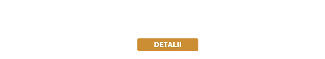 Solutionarea online a litigiilor